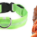 LED Dog Luminous Necklace Outdoor Walking Pet Night Safety Collar (Green M)