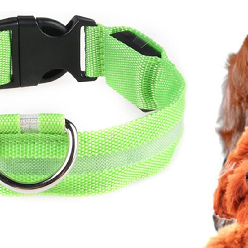 LED Dog Luminous Necklace Outdoor Walking Pet Night Safety Collar (Green M)
