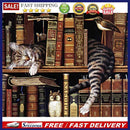 Painting By Numbers Kit DIY Cat Books Canvas Oil Art Picture for Home Wall