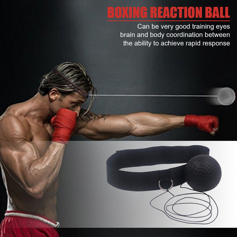 4pcs with Headband Boxing Muay Thai Hand Eye Reaction Training Reflex Speed ?