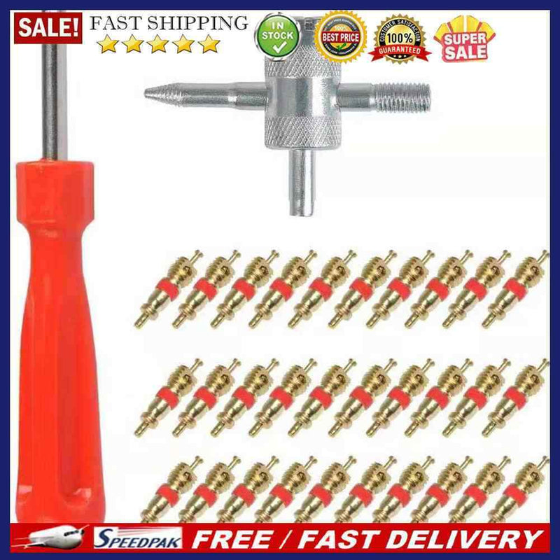 30pcs Brass Valve Cores with Car Bicycle Tire Valve Core Remover + 4 Way To
