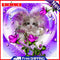 DIY Round Diamond Painting 5D Rose Cat Mosaic Picture Point Drill Handicraft
