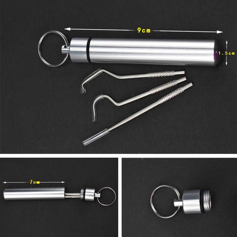 Stainless Steel Toothpick Set w/Portable Toothpick Holder Storage Box (01)
