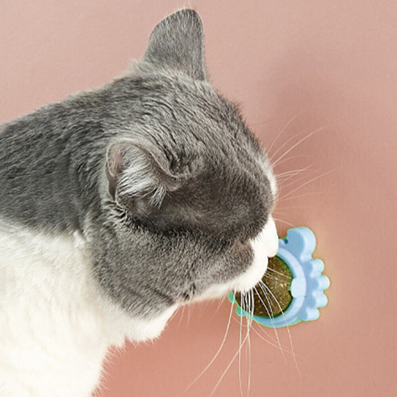 Rotatable Cat Treat Toys with Catnip Snack Licking Ball Kitten Molar (Blue)