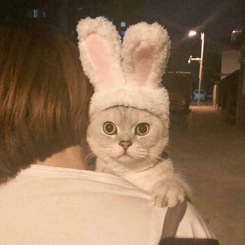 Cute Cat Headgear Bunny Drag Hat Cat Dog Headwear Costume PhotoProps F7X7
