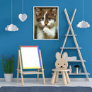 5D Diamond Painting Kit DIY Cat Full Round Mosaic Picture