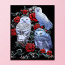 Full Cross Stitch 11CT Cotton Thread DIY Rose and Owls Printed Embroidery K