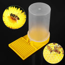 Entrance Bee Feeding Water Beekeeping Automatic Drinking Bowl Input Feeder Cap