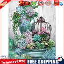 Painting By Numbers Kit DIY Succulent Plants Canvas Oil Art Picture Craft