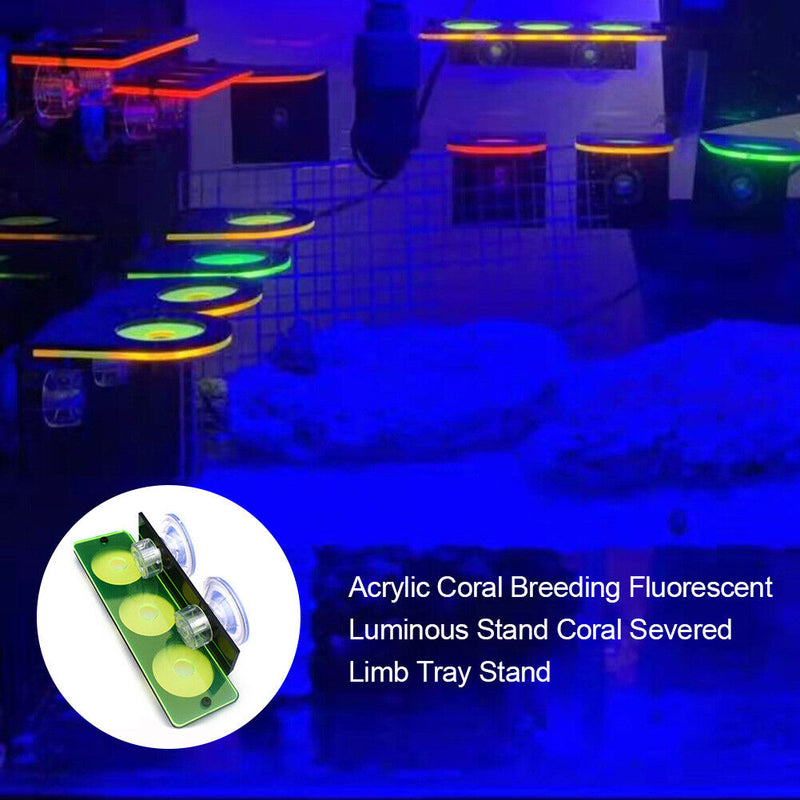 Fish Tank Fluorescence Coral Frag Rack Aquarium Reef w/ Plug Holder (Green)