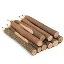 Art Work Crafts Stationery Writing Tool Branch and Twig Graphite Wooden Pencil