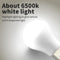 USB Night Bulb Portable Small Book Lamps LED Reading Light (White Light) Newly