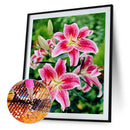 5D DIY Diamond Painting Full Round Drill Calla Lily Wall Decor Rhinestone Art