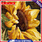 20x20cm Frameless Oil Paint By Numbers Sunflower Paint Canvas Picture Crafts Kit