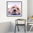 Oil Paint By Numbers Pet Dog on Canvas Digital Painting DIY Wall Art Handic