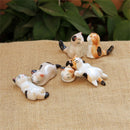Luck Japan Beautiful Lucky Cat Cutlery Stand Japanese Chopsticks Holder Ceramic