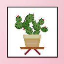14CT Partial Cross Stitch Cactus Stamped DIY Kits Cotton Thread Embroidery