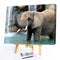 Wading Elephant Oil Paint By Numbers DIY Handpainted on Canvas Home Decorations