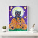 5D DIY Special Shaped Diamond Painting Pumpkin Cat Embroidery Mosaic Kits