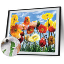 50x40cm Oil Paint By Numbers Beautiful Flower Frameless Picture Kits Home Decor