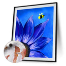 Blue Daisy Oil Paint By Numbers DIY Handpainted on Canvas Wall Art (B883)