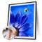 Blue Daisy Oil Paint By Numbers DIY Handpainted on Canvas Wall Art (B883)