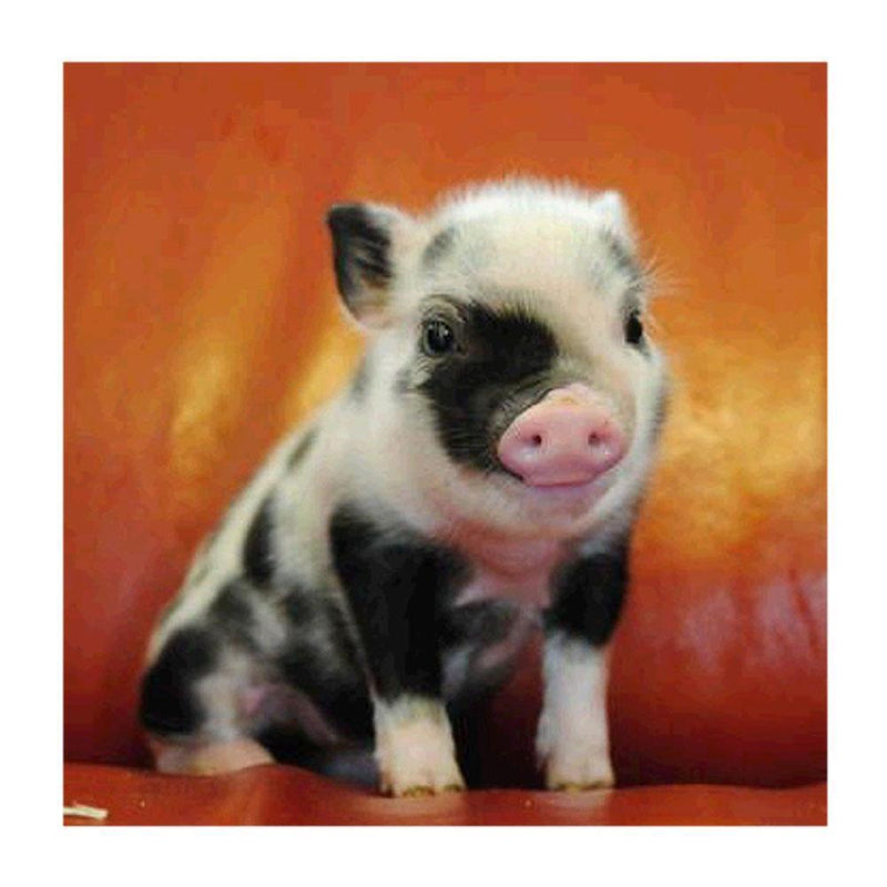 DIY Diamond Painting Cross Stitch 5D Pig Full Drill Embroidery Home Decor Newly