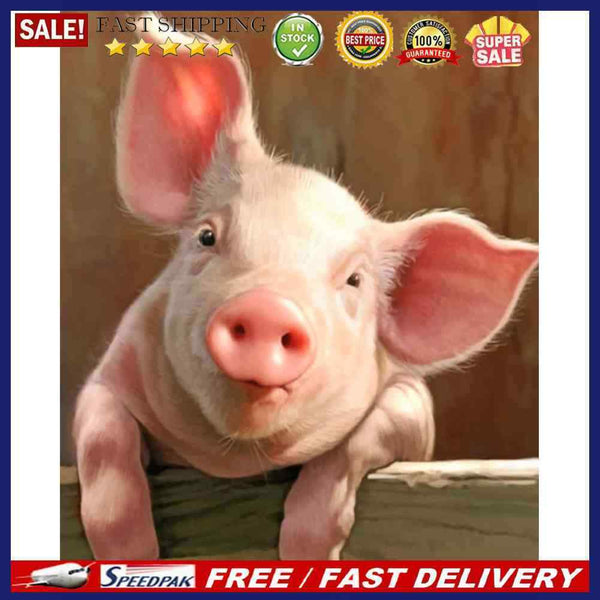 40x50cm Pig Painting By Numbers DIY Canvas Wall Picture Hand Painted Home Dec