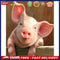 40x50cm Pig Painting By Numbers DIY Canvas Wall Picture Hand Painted Home Dec
