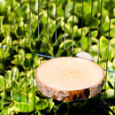 Small Parrot Bird Cage Stand Platform Perch Pet Wood Biting Stick (8-10cm)