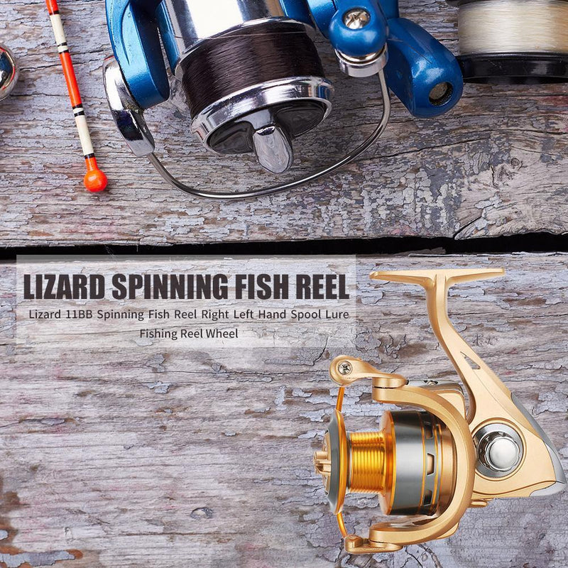 Lizard 11 Bearings Spinning Fish Reel Left/Right Hand Spool Fishing Reel Tackle