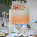 Cake Display Board Round Clear Acrylic Edge Smoother Fillable Cake Stand