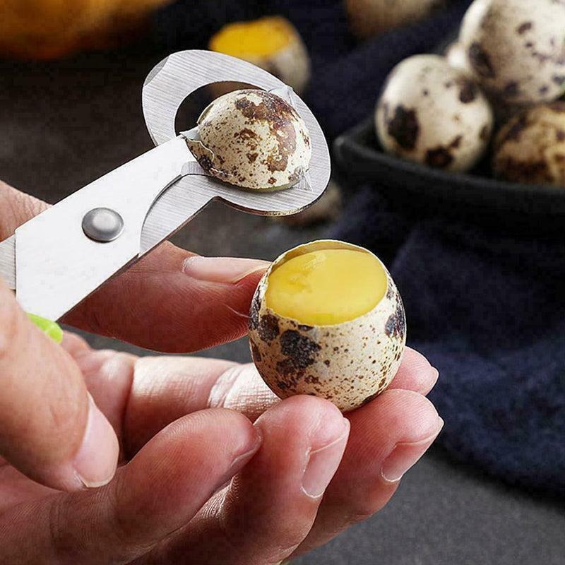 Pigeon Quail Egg Scissors Cracker Opener Cigar Cutter BEST P4K7 Tool Steel W6G5