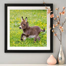 5D DIY Diamond Painting Embroidery Donkey Full Round Drill Rhinestones Craf