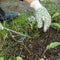 Heavy Duty Hand Weeder Weeding Weed Remover Puller Forks Metal Tool Garden E3H7