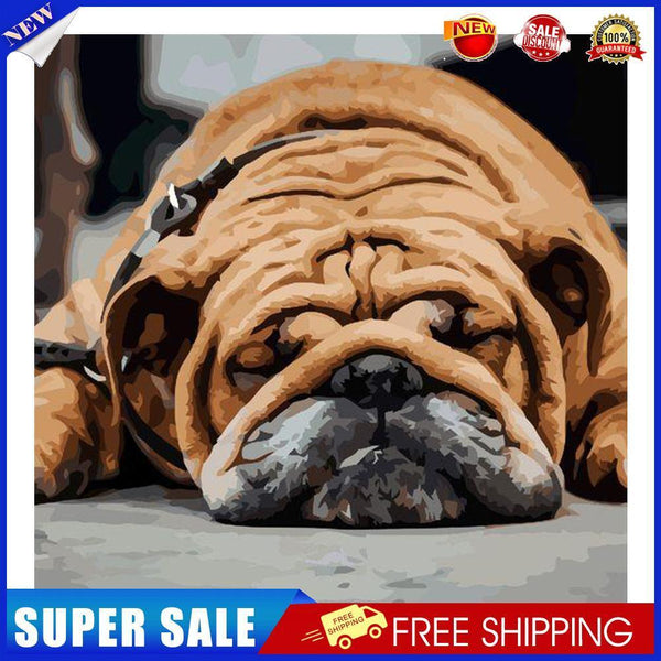 Paint By Numbers Kit DIY Sleeping Dog Colouring Oil Picture Artwork Craft