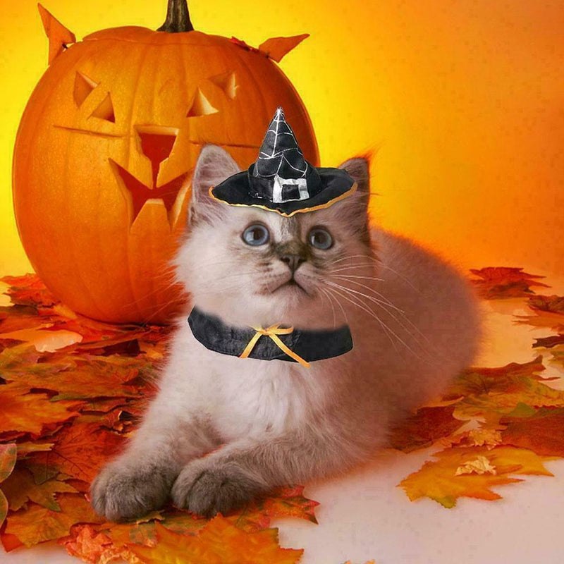 Halloween Cat Wizard Hat Products That Transform Into Hat Scarf Wizard O1V0 N0C5