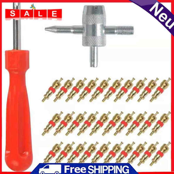 30pcs Brass Valve Cores with Car Bicycle Tire Valve Core Remover + 4 Way Tool