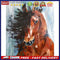 Fine Horse Oil Paint By Numbers Kits DIY Canvas Wall Picture Craft Home Decor