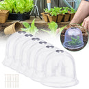 #A 6pcs Greenhouse Garden Plant Bell Cover Frost Guard Anti Freeze Protection Do