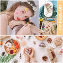 6pcs Dried Flower Material Packages Real Pressed Dry Flowers & Tweezer Kit