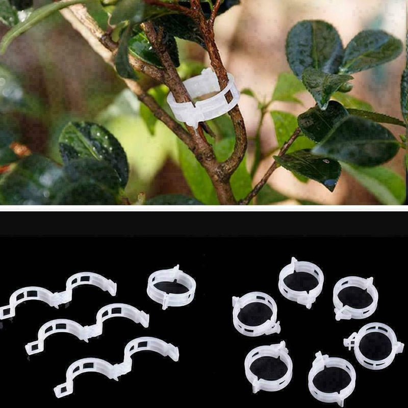 Plant Vine Fixing Clamp Hanging Seedling Clamp Gardening D8R1 U1C0 Fixing K5F4