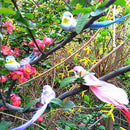 4pcs Artificial Foam Feather Bird DIY Party Craft Ornament Props Decor(Clip