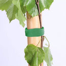 Plant Bandage Tie Adjustable Support Reusable Fastener Tape (Green) Newly