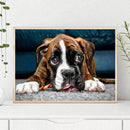 Full Round Diamond Painting DIY Kit Big Eyes Puppy 5D Rhinestone Mosaic Picture