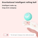 Gravity Smart Cat Ball Toys Catnip Sounding Interactive Rolling Training To