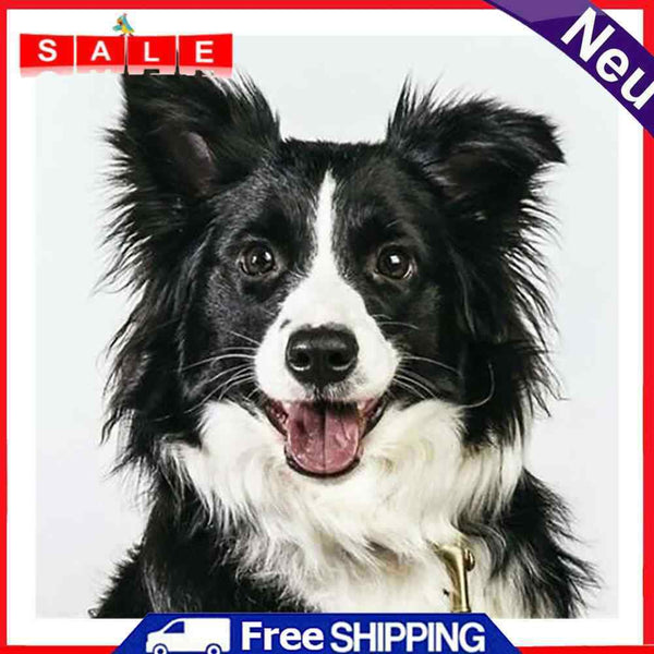 5D Diamond Painting Shepherd Dog Full Round Rhinestone DIY Home Decoration Gifts