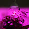 LED SMD 24W Grow Light E27 Indoor Plant Lamp for Flowers Plants Vegetables