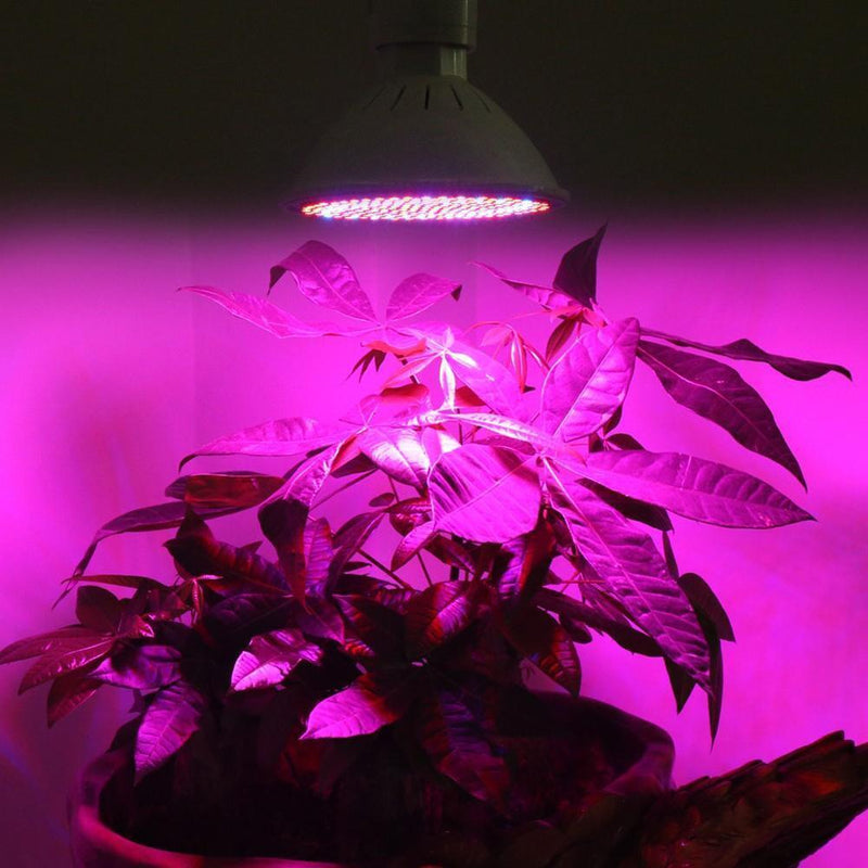 LED SMD 24W Grow Light E27 Indoor Plant Lamp for Flowers Plants Vegetables