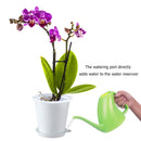 Clear Root Control Pot Orchid Fleshy Flower Breathable Container (White) Newly